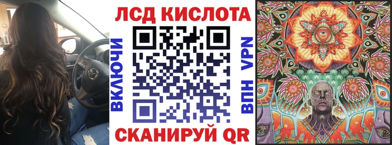 kraken как войти  Заволжск  Марки N-bome 1500мкг  как найти закладки 