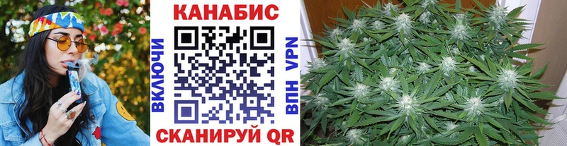 закладки  Заволжск  Бошки Шишки ГИДРОПОН 